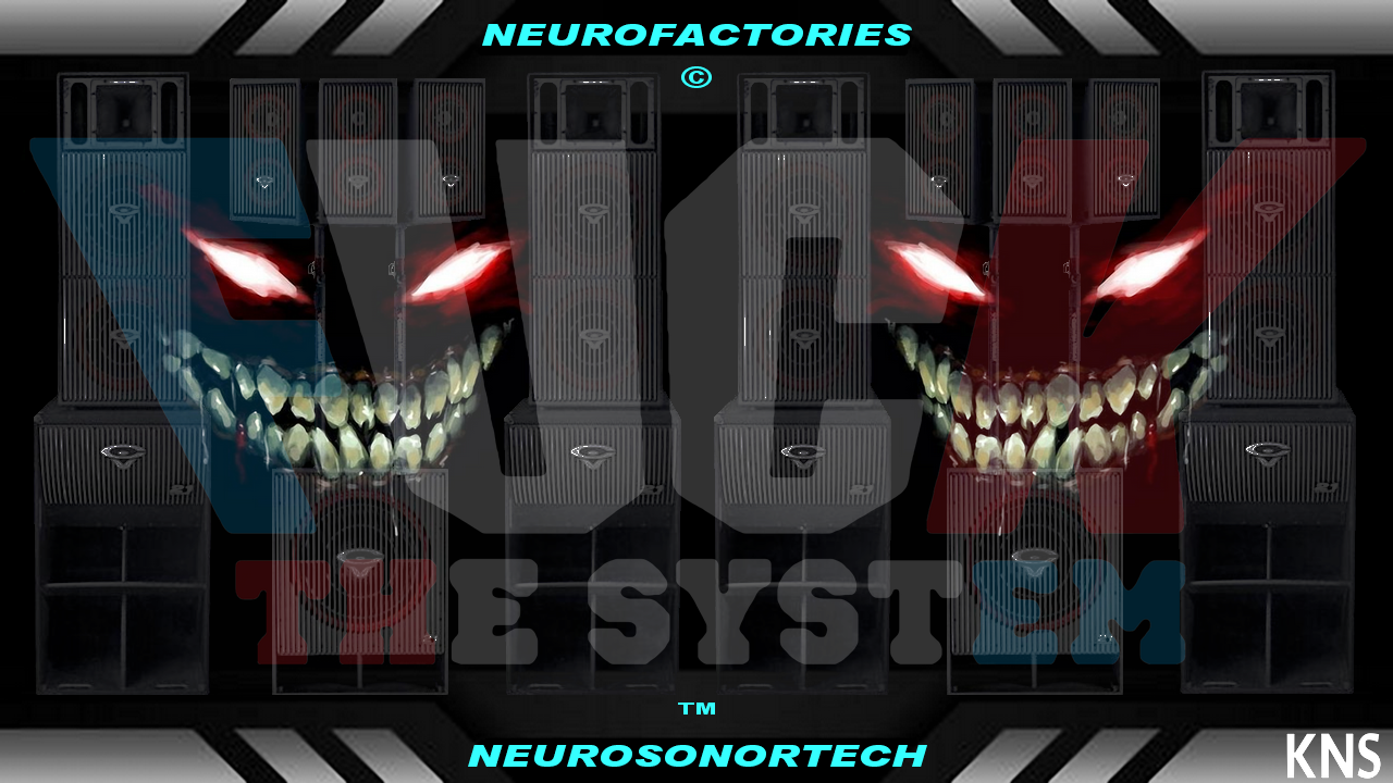 neurosonortech.knsystem.eu